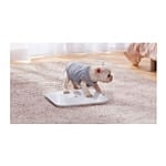 Xiaomi Mi Smart Scale 2 Bluetooth  Báscula