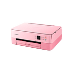 Canon PIXMA TS5352 Wifi Duplex  Impresora Multifunción