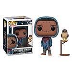 Figura POP Destiny Hawthorne with Hawk