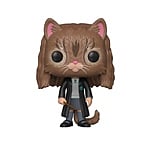 Figura POP Harry Potter Hermione as Cat