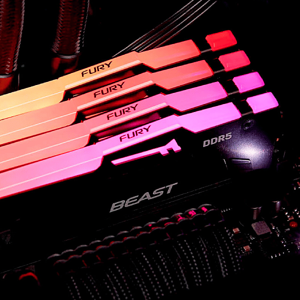 Kingston Fury Beast DDR5 RGB 16GB 6000MHz CL30 Black AMD EXPO  Memoria RAM