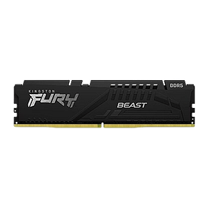 Kingston Fury Beast DDR5 8GB 5600MHZ CL40  Memoria RAM