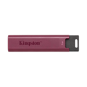 Kingston Technology DataTraveler Max unidad flash USB Type A 1 TB  Pen Drive