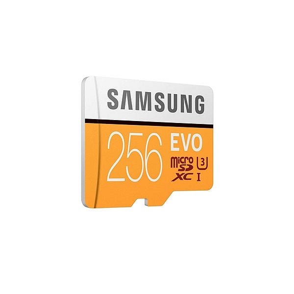 Samsung EVO 256GB MicroSD Clase 10  Memoria Flash