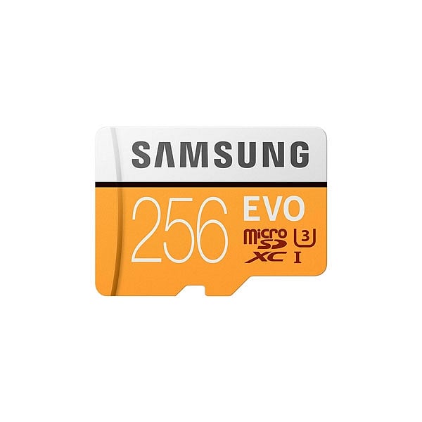 Samsung EVO 256GB MicroSD Clase 10  Memoria Flash