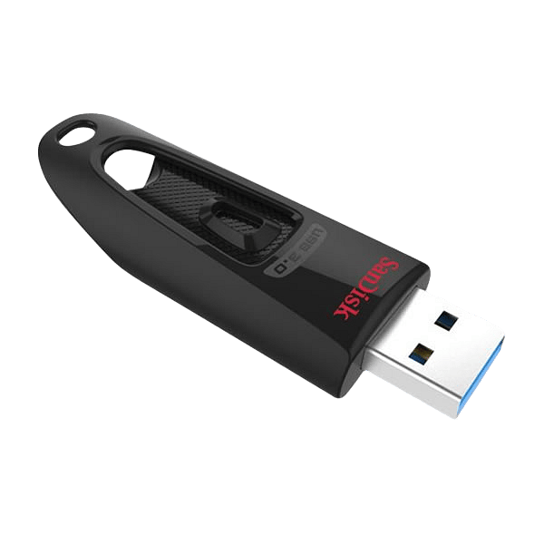 SanDisk Ultra USB 30 256GB 100MBs  Pendrive