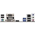 Asrock H310MHDV  Placa Base
