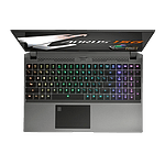 Gigabyte AORUS15GWB 8ES2130MH i710875H16512RTX Portátil