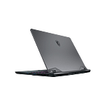 MSI GE66 10SFS202ES i9 10980HK 64G 2T 2070S W10  Portátil