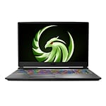 MSI Alpha 17 A4DEK022XES AMD Ryzen 7 4800H 16GB RAM 1TB SSD AMD RX5600M 175 Full HD 144Hz FreeDOS  Portátil