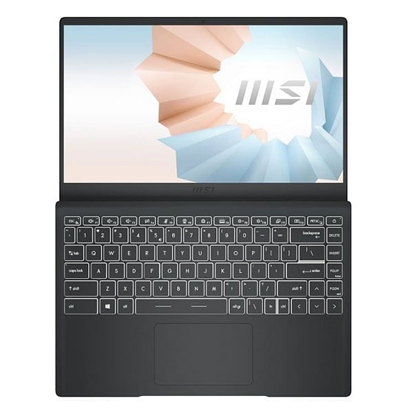 MSI Modern 14 B11MO879XES Intel Core i7 1195G7 16GB RAM 1TB SSD 14 Full HD FreeDOS  Portátil
