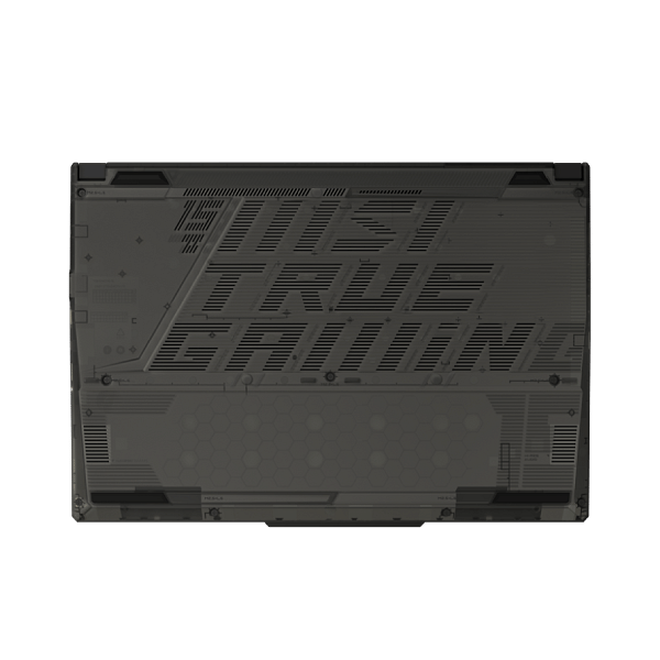 Cyborg 15 A13VF828XES  Portátil Intel Core i713620H RAM 16GB SSD 512GB NVMe RTX 4060 156 Full HD FreeDOS