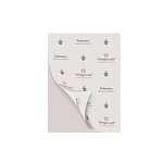 Fellowes A3 80micras 100uds  Fundas de Plastificar