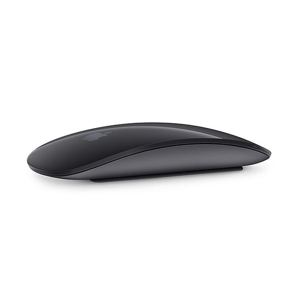 Apple Magic Mouse 2 gris espacial  Ratón