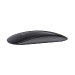 Apple Magic Mouse 2 gris espacial  Ratón