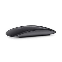 Apple Magic Mouse 2 gris espacial - Ratón