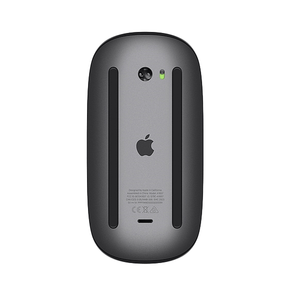 Apple Magic Mouse 2 gris espacial  Ratón