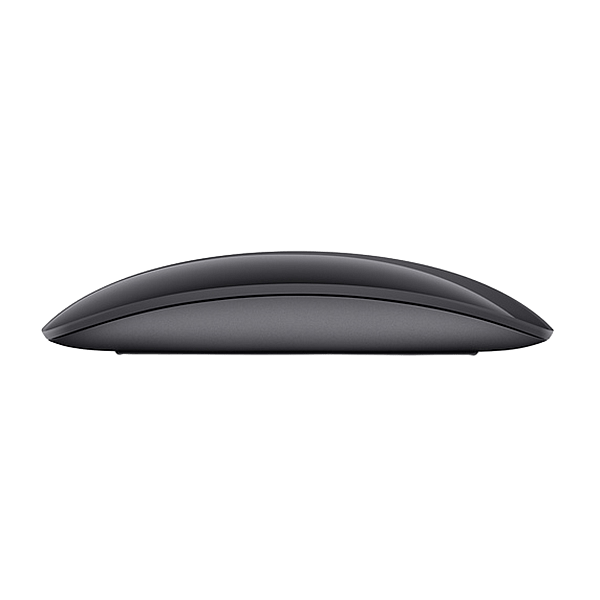 Apple Magic Mouse 2 gris espacial  Ratón