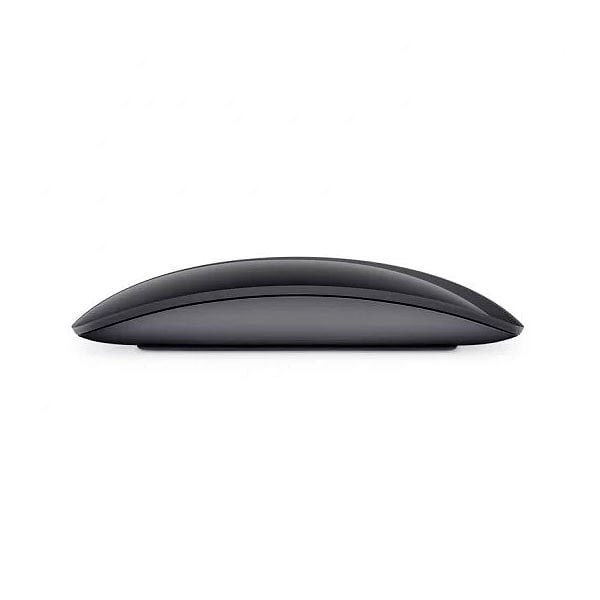 Apple Magic Mouse 2 gris espacial  Ratón