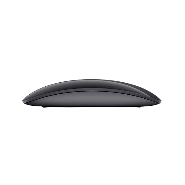 Apple Magic Mouse 2 gris espacial  Ratón