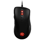 RATON XPG INFAREX M20