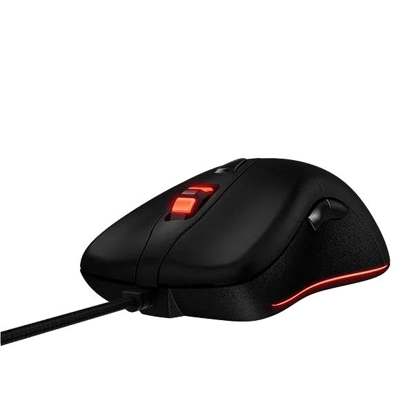 RATON XPG INFAREX M20