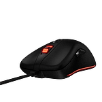 RATON XPG INFAREX M20