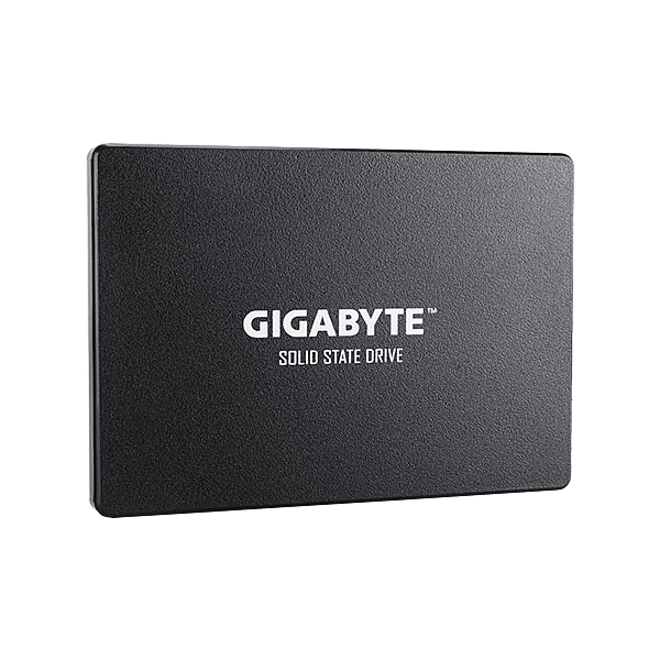 Gigabyte 256GB 25 520MBs 500MBs  Disco Duro SSD