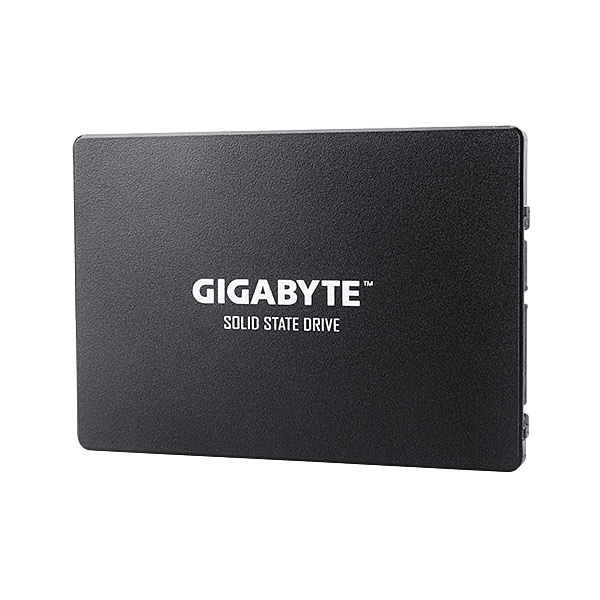 Gigabyte 256GB 25 520MBs 500MBs  Disco Duro SSD
