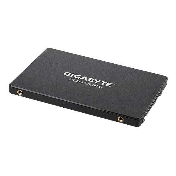 Gigabyte 256GB 25 520MBs 500MBs  Disco Duro SSD