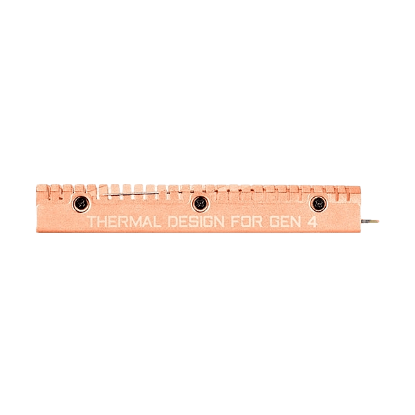Gigabyte Aorus Gen4 1TB M2 NVMe PCIe 40 x4  SSD