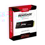 Kingston Fury Renegade PCIe 40 NVMe M2 500GB con dispador  SSD