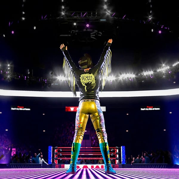 Sony PS4 WWE 2K20  Videojuego