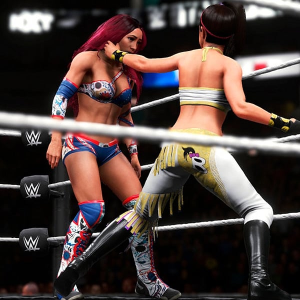 Sony PS4 WWE 2K20  Videojuego