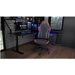 Endorfy SCRIM RD  Silla Gaming Ergonómica Reclinable Soporte Lumbar y Cervical Malla transpirable y Cuero