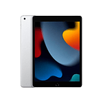 Apple iPad 2021 102 256GB WIFI Plata  Tablet