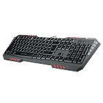 Genesis RX55 gaming usb  Teclado
