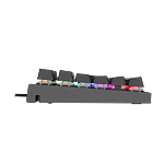 Genesis THOR 300 RGB Brown Switch  Teclado