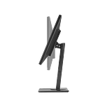 Asus BE249QLBH 238 FHD IPS HDMI DVID  Monitor