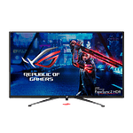 Asus XG438Q 43 4K 120Hz HDMI DP  Monitor