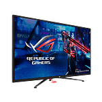 Asus XG438Q 43 4K 120Hz HDMI DP  Monitor