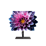 ASUS PA32UCXK 32 4K 995 Adobe RGB  XRite i1  Monitor ASUS PA32UCXK 32 4K 995 Adobe RGB  XRite i1  Monitor