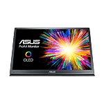 ASUS PQ22UC 215 4K OLED 01 ms 10 Bit 99 DCiP3  Monitor ASUS PQ22UC 215 4K OLED 01 ms 10 Bit 99 DCiP3  Monitor