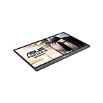 Asus ZenScreen MB16ACE 156 IPS FHD USB tipo C  Monitor