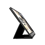 Asus ZenScreen Go MB16AHP Full HD IPS USB C Bat  Monitor