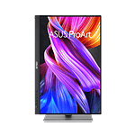ASUS ProArt PA248CNV  Monitor 241 IPS FHD USBC