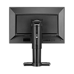 BenQ BL2411PT  24 IPS 5ms DVIVGADP  Monitor