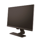BenQ BL2480 238 IPS VGAHDMI VESA 100  Monitor