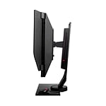 BenQ Zowie XL2536 ESPORT 24 FHD TN HDMI DP 144hz  Monitor