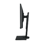 BenQ BL2480T 238 IPS FHD VGA HDMI DP Multimedia  Monitor